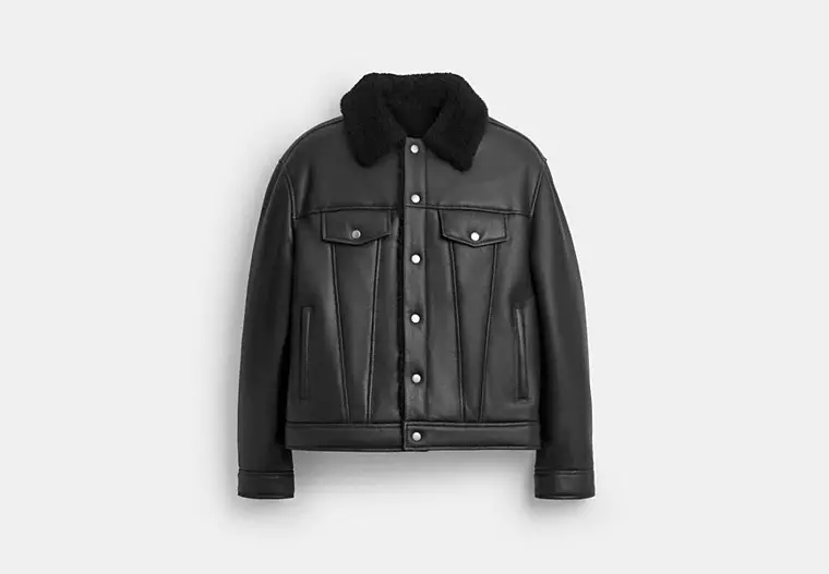 Best Suede Shearling Coats for Men with Plush Warm Lining