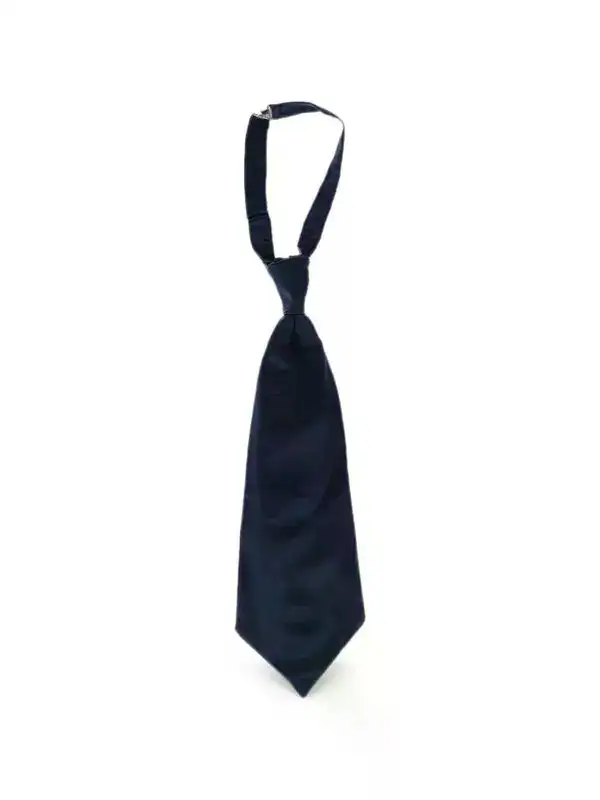 Elizabetta Nino Charcoal Silk Ascot