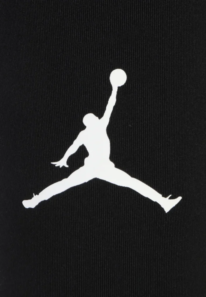 Jordan Basketball Shooter Sleeves — Best Bold Court Style
