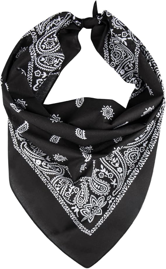 Levi’s Paisley Bandana — Best Cotton Bandanas for Men Pick