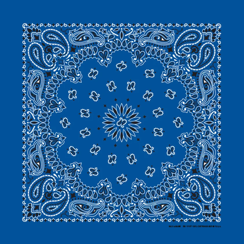 The Bandanna Company Original Paisley Bandana