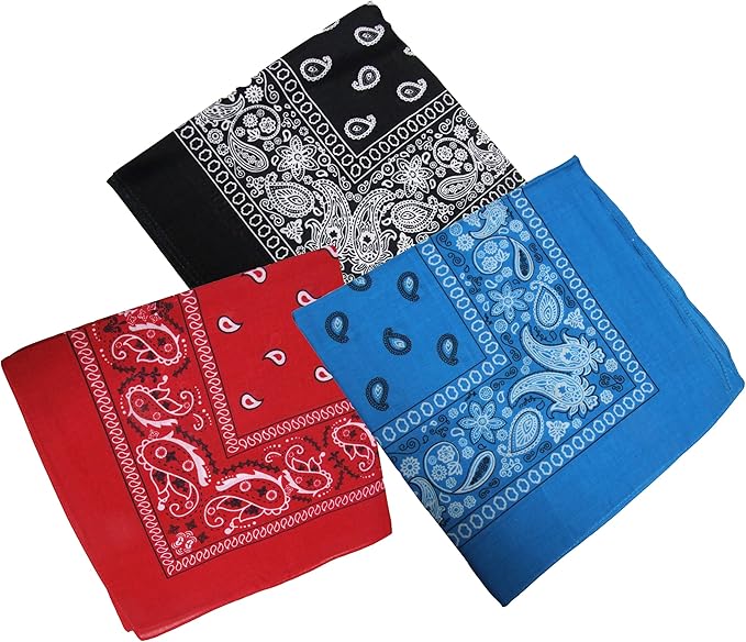 Wrangler Paisley Bandana